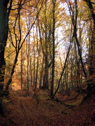 Schluchtenweg